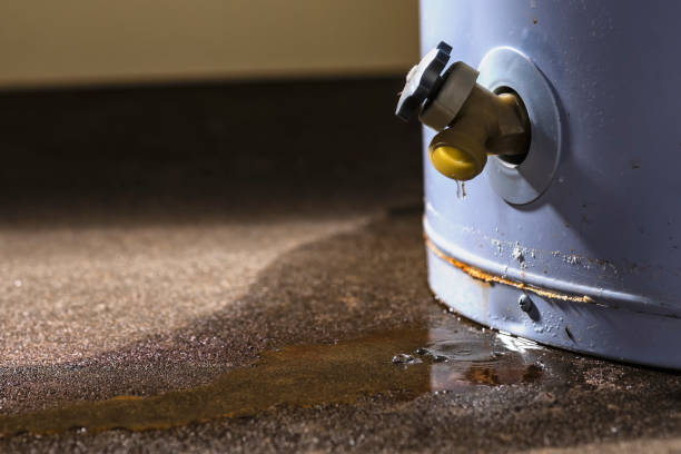 Water damage restoration experts in Stoughton, WI
