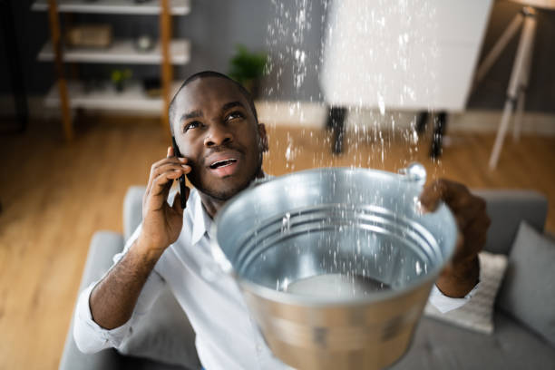 Best Flood damage cleanup  in Stoughton, WI