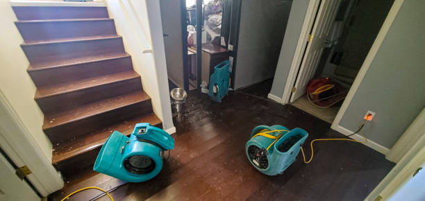 Best Water damage restoration experts  in Stoughton, WI