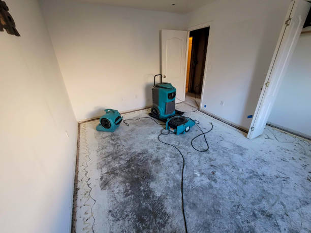 Best Ceiling water damage repair  in Stoughton, WI