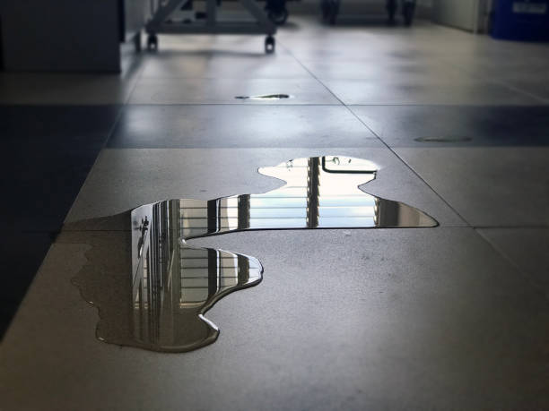 Best Water damage contractors near me  in Stoughton, WI