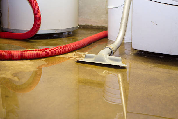 Best Basement water damage restoration  in Stoughton, WI