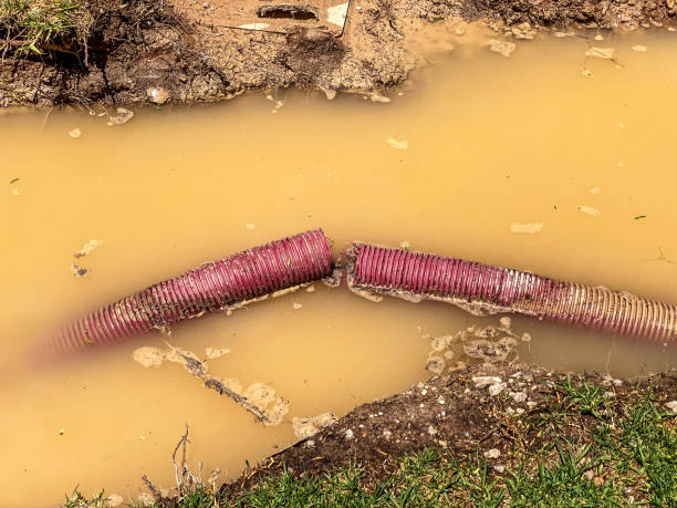 Best Commercial water damage restoration  in Stoughton, WI
