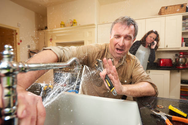 Best Flooded house restoration  in Stoughton, WI